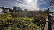 Terreno R�stico - Tavarede, Figueira da Foz, Coimbra - Miniatura: 8/9