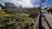Terreno R�stico - Tavarede, Figueira da Foz, Coimbra - Miniatura: 9/9