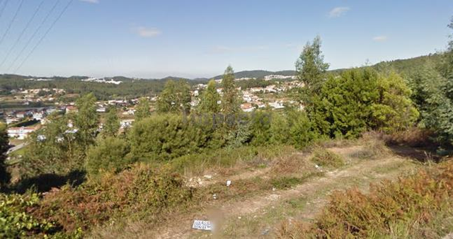 Terreno Rstico T0 - Carregosa, Oliveira de Azemis, Aveiro - Imagem grande