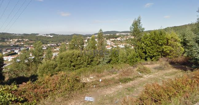 Terreno Rústico T0 - Carregosa, Oliveira de Azeméis, Aveiro - Imagem grande
