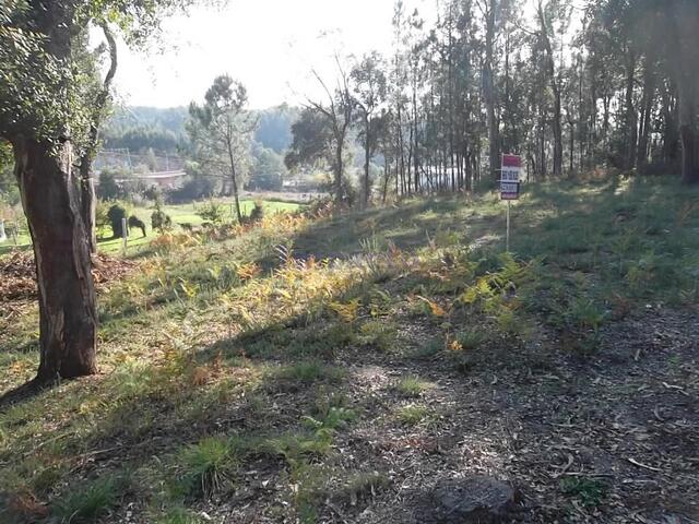 Terreno Rústico T0 - Nogueira do Cravo, Oliveira de Azeméis, Aveiro - Imagem grande