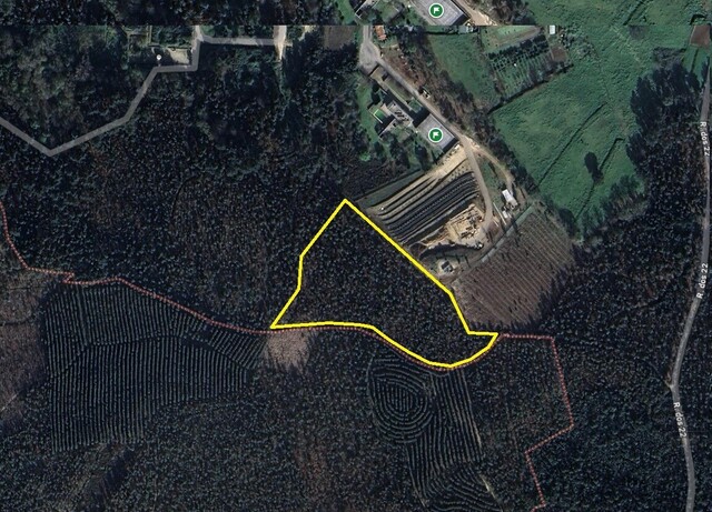 Terreno Rústico - Pinheiro da Bemposta, Oliveira de Azeméis, Aveiro - Imagem grande