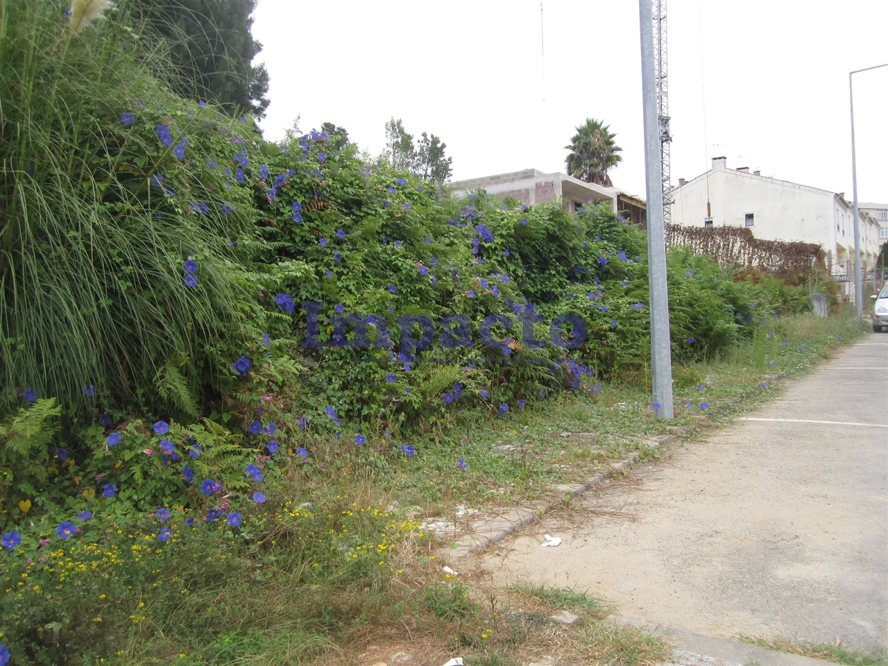 Terreno Urbano - Vila de Cucujães, Oliveira de Azeméis, Aveiro