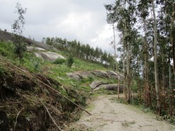 Terreno Rstico - Guilhofrei, Vieira do Minho, Braga