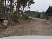 Terreno R�stico - Escap�es, Santa Maria da Feira, Aveiro