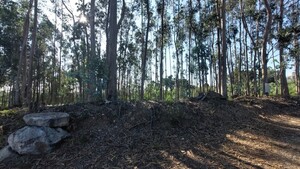 Terreno Rstico - Escapes, Santa Maria da Feira, Aveiro