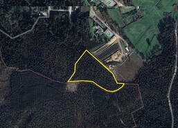 Terreno Rstico - Pinheiro da Bemposta, Oliveira de Azemis, Aveiro