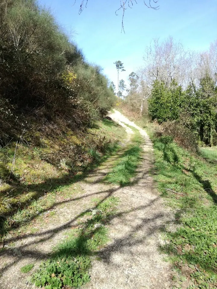 Terreno R�stico - Pias, Mon��o, Viana do Castelo - Miniatura: 6/9