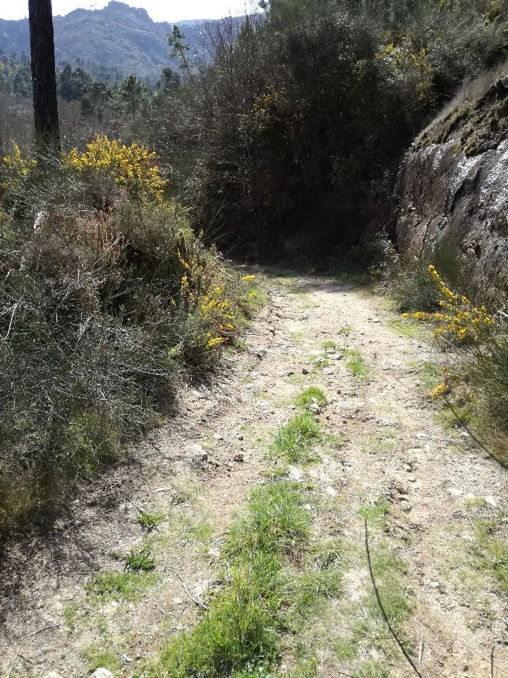 Terreno R�stico - Pias, Mon��o, Viana do Castelo - Miniatura: 7/9