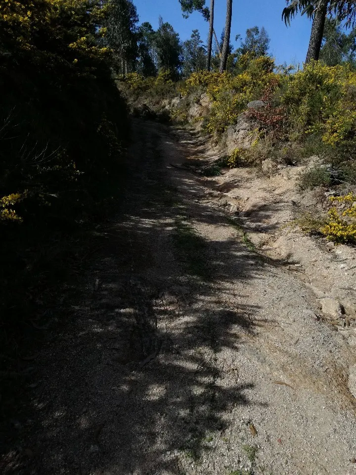 Terreno R�stico - Pias, Mon��o, Viana do Castelo - Miniatura: 8/9