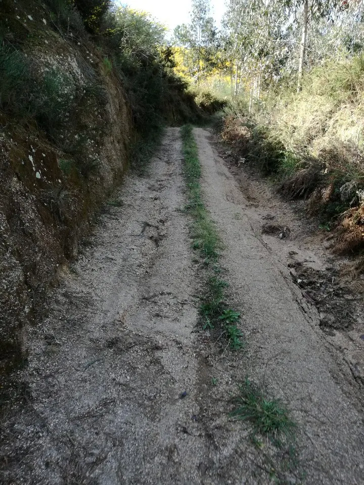 Terreno R�stico - Pias, Mon��o, Viana do Castelo - Miniatura: 9/9