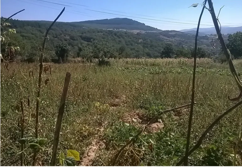 Terreno Rstico - Vilar de Ossos, Vinhais, Bragana - Miniatura: 1/2
