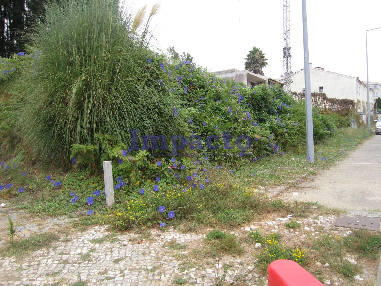 Terreno Urbano - Vila de Cucujes, Oliveira de Azemis, Aveiro - Miniatura: 1/9
