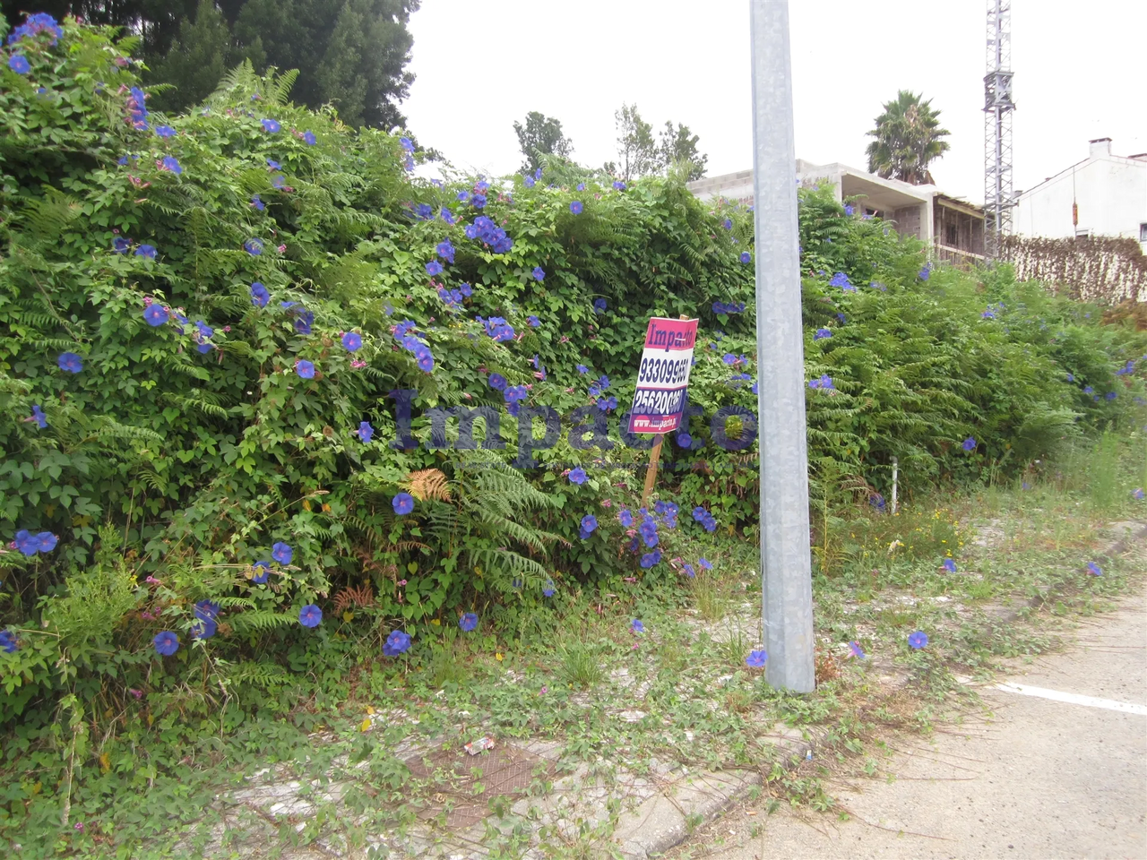 Terreno Urbano - Vila de Cucujes, Oliveira de Azemis, Aveiro - Miniatura: 4/9