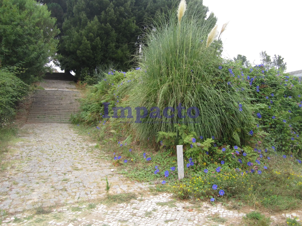 Terreno Urbano - Vila de Cucujes, Oliveira de Azemis, Aveiro - Miniatura: 6/9