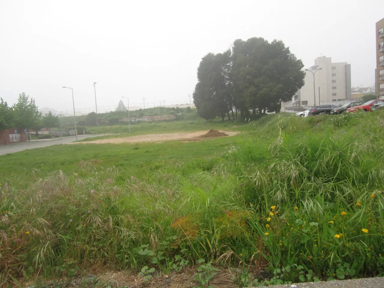 Terreno Rstico - So Joo da Madeira, So Joo da Madeira, Aveiro - Miniatura: 4/4