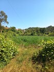 Terreno Rstico - Escariz, Arouca, Aveiro - Miniatura: 2/4