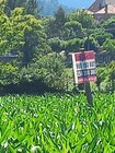 Terreno Rstico - Escariz, Arouca, Aveiro - Miniatura: 4/4