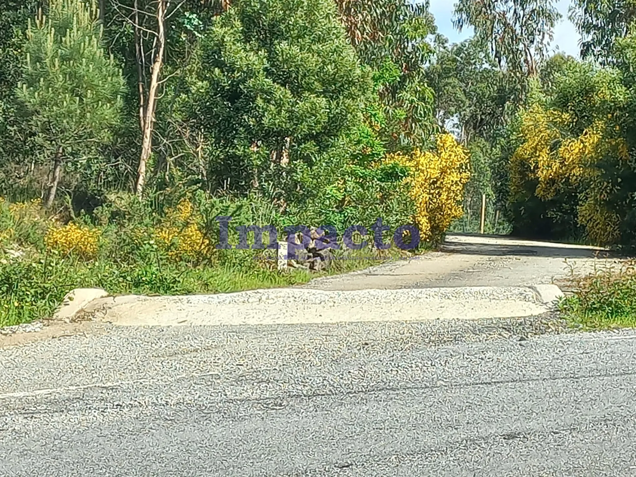 Terreno Rstico - Escariz, Arouca, Aveiro - Imagem grande