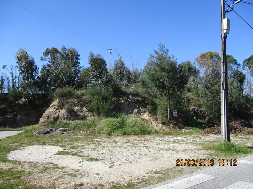 Terreno Rstico - Currelos, Carregal do Sal, Viseu