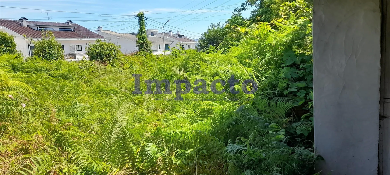 Terreno R�stico - Vila de Cucuj�es, Oliveira de Azem�is, Aveiro