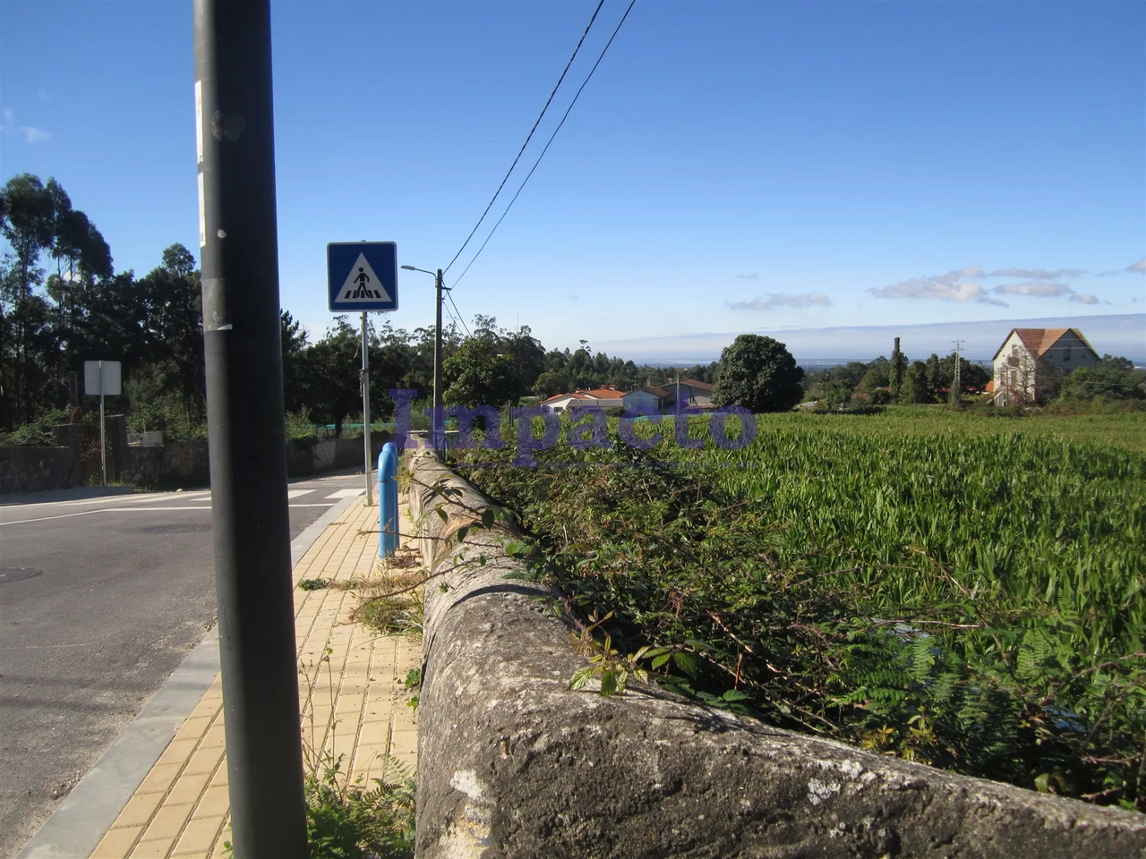 Terreno R�stico - Vila de Cucuj�es, Oliveira de Azem�is, Aveiro