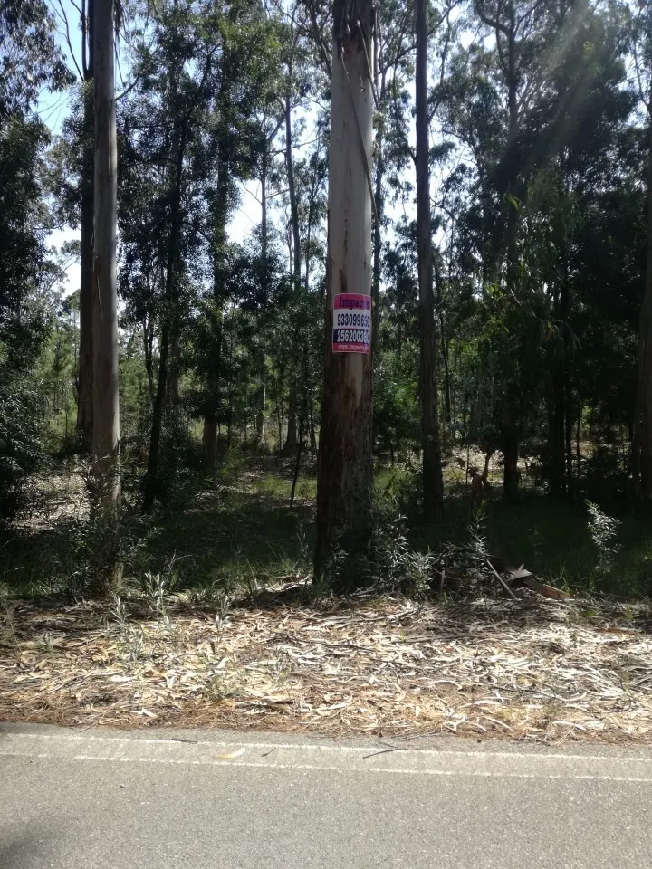 Terreno R�stico - Avanca, Estarreja, Aveiro