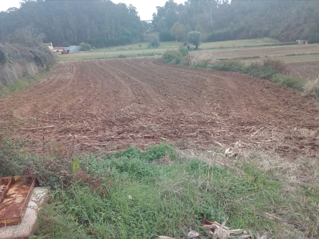 Terreno R�stico - Vila de Cucuj�es, Oliveira de Azem�is, Aveiro