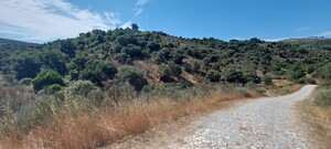 Terreno Rstico - Pereiros, So Joo da Pesqueira, Viseu