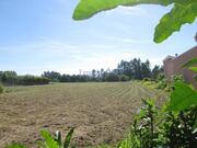 Terreno Rstico T0 - Santiago de Riba-Ul, Oliveira de Azemis, Aveiro - Miniatura: 5/8