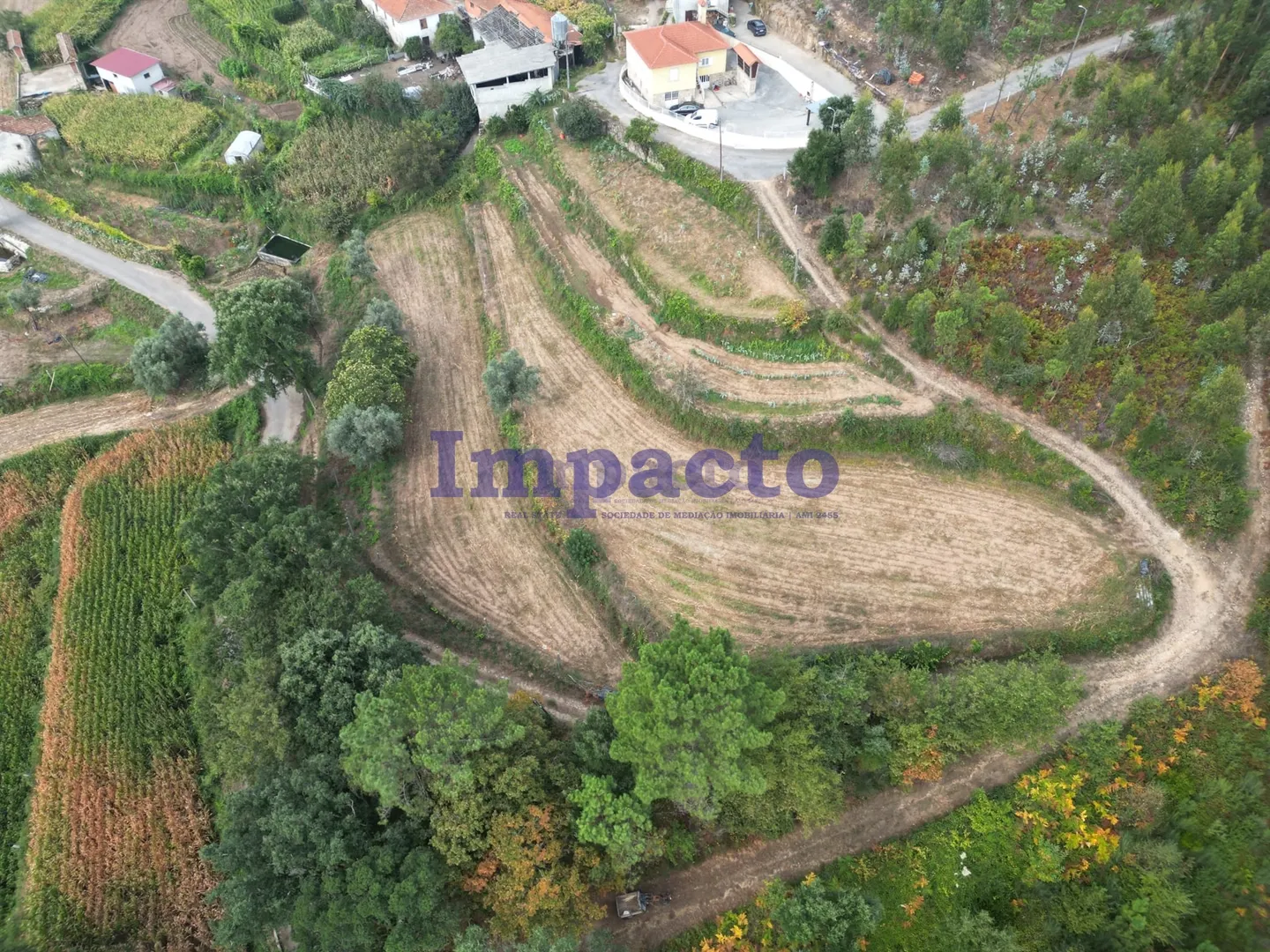 Terreno Rstico T0 - Escariz, Arouca, Aveiro - Miniatura: 3/9