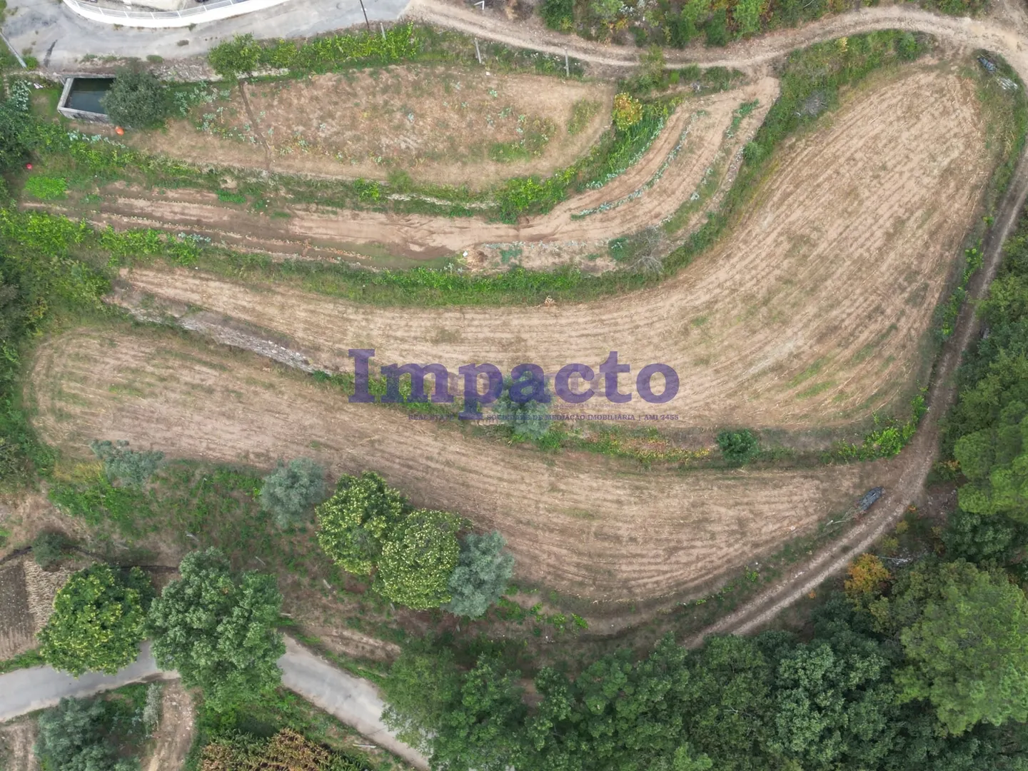 Terreno Rstico T0 - Escariz, Arouca, Aveiro - Miniatura: 4/9