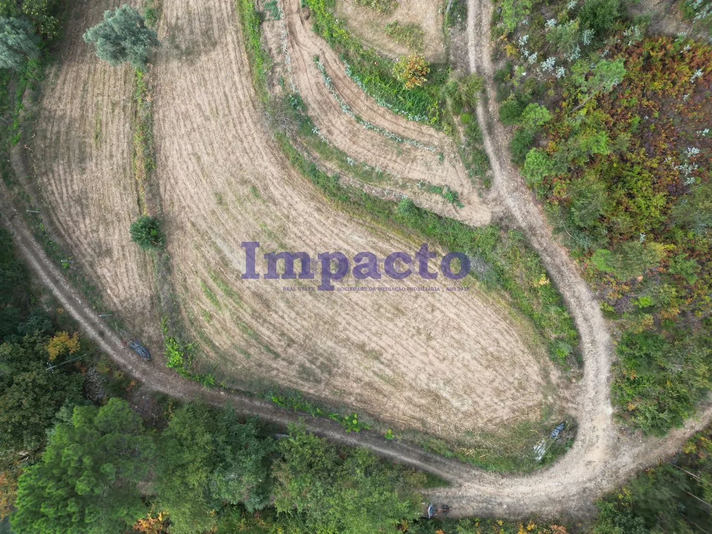Terreno Rstico T0 - Escariz, Arouca, Aveiro - Miniatura: 8/9