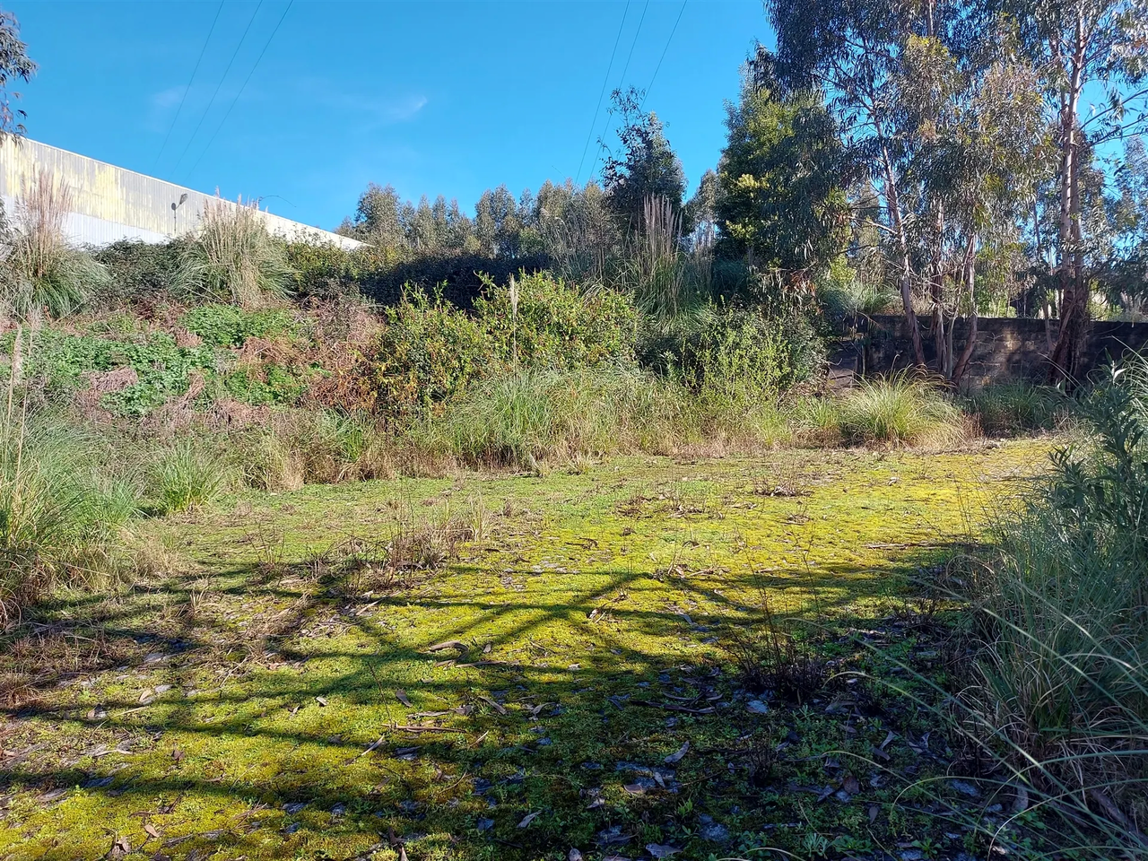 Terreno R�stico - S�o Pedro da Cova, Gondomar, Porto - Miniatura: 5/9
