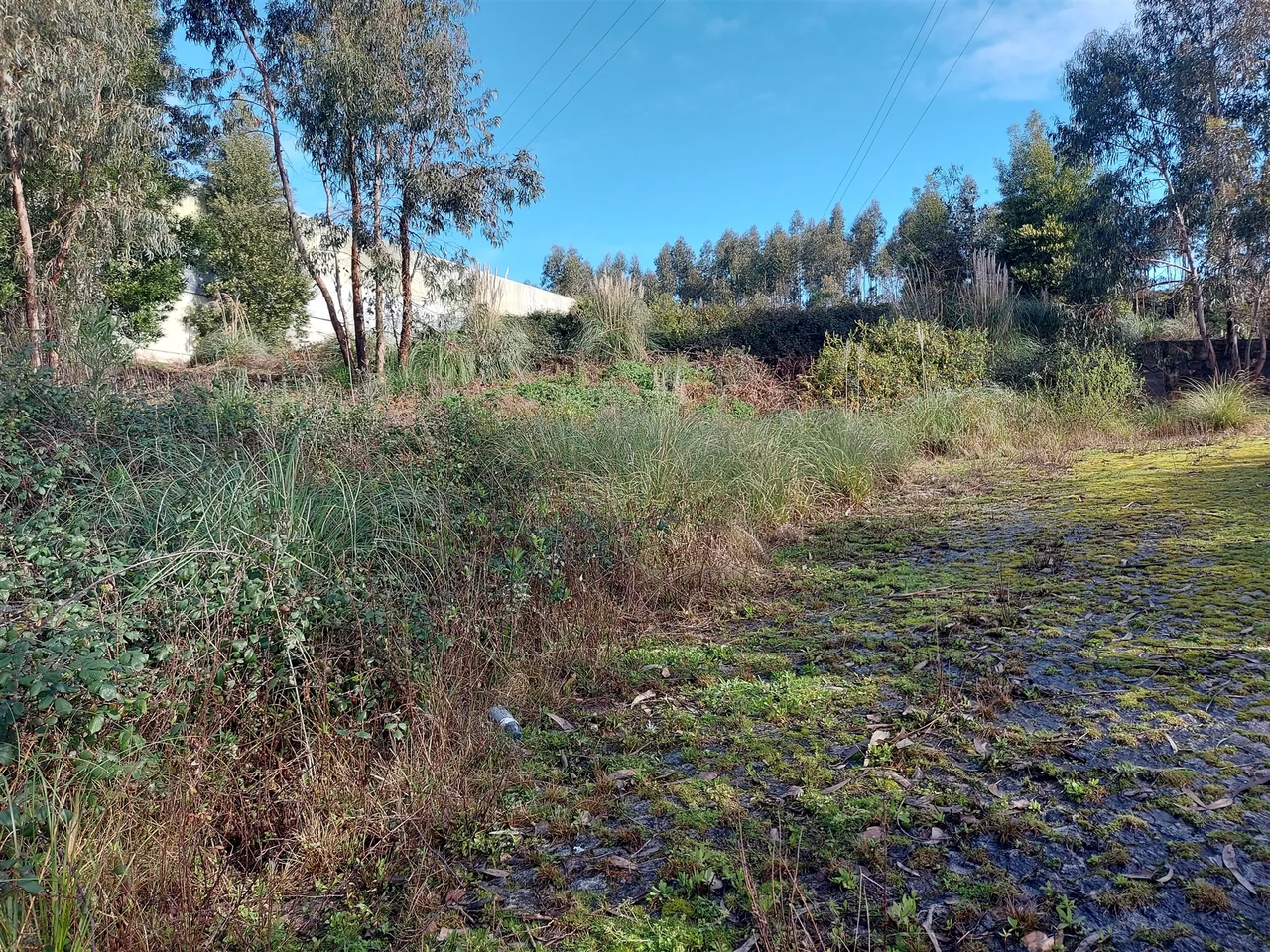 Terreno R�stico - S�o Pedro da Cova, Gondomar, Porto - Miniatura: 8/9
