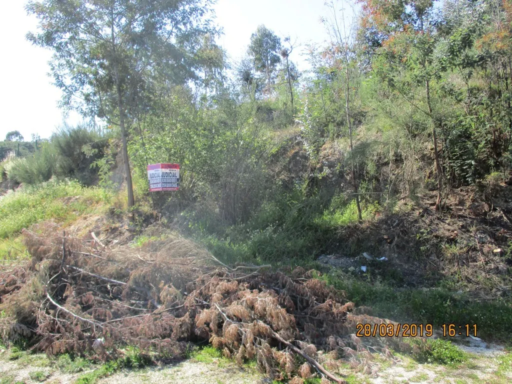 Terreno Rstico - Currelos, Carregal do Sal, Viseu - Miniatura: 4/7