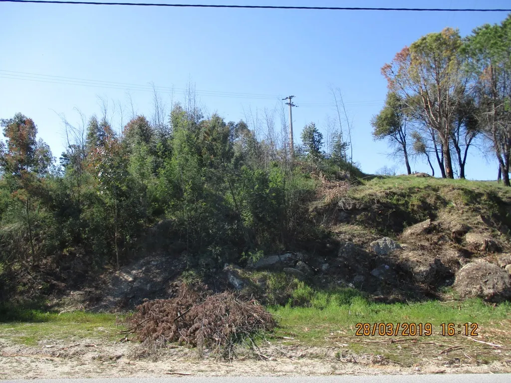 Terreno Rstico - Currelos, Carregal do Sal, Viseu - Miniatura: 5/7