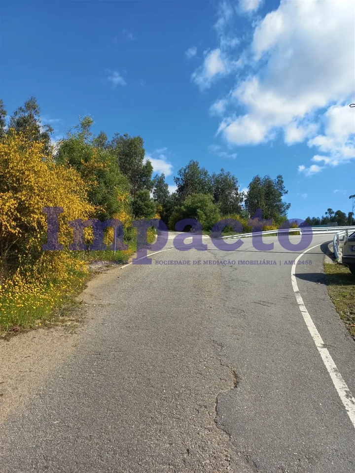 Terreno Rstico - Escariz, Arouca, Aveiro - Miniatura: 6/8