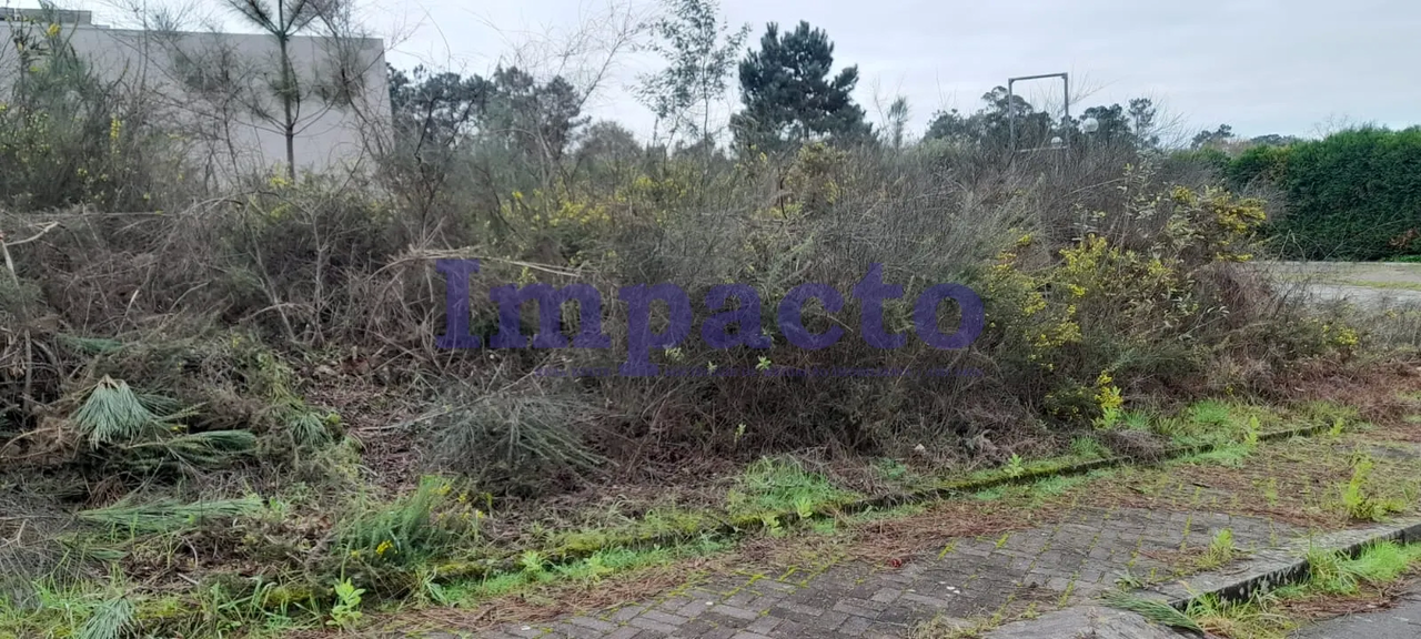 Terreno Urbano - Oliveira de Azemeis, Oliveira de Azemis, Aveiro - Miniatura: 4/9