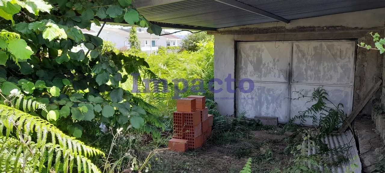 Terreno R�stico - Vila de Cucuj�es, Oliveira de Azem�is, Aveiro - Miniatura: 1/4