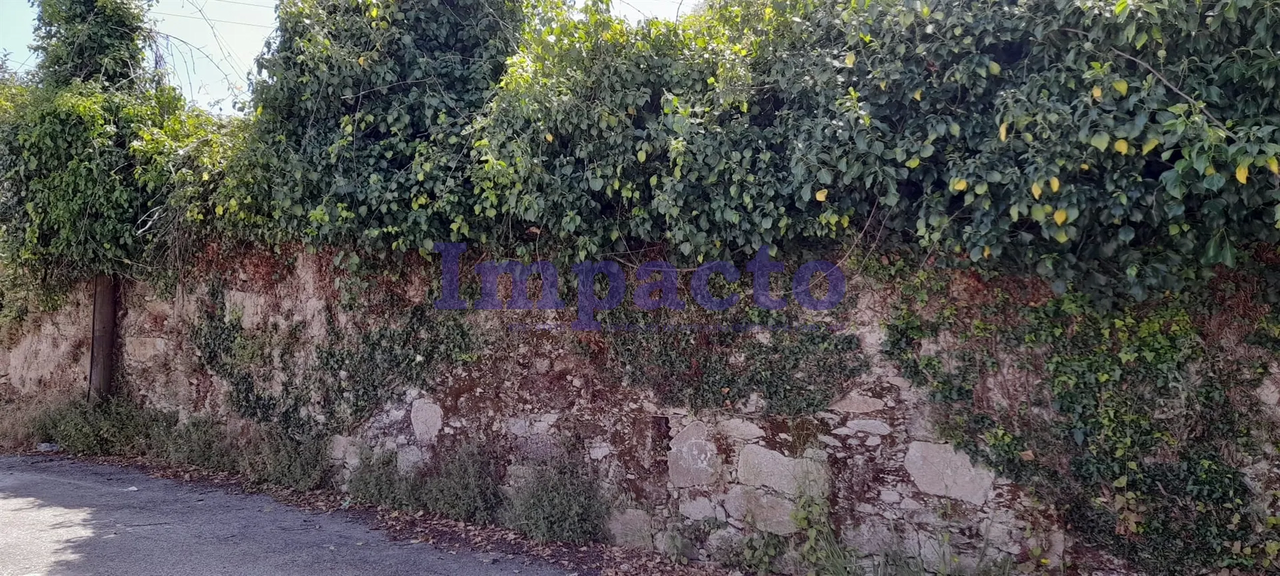 Terreno R�stico - Vila de Cucuj�es, Oliveira de Azem�is, Aveiro - Miniatura: 3/4