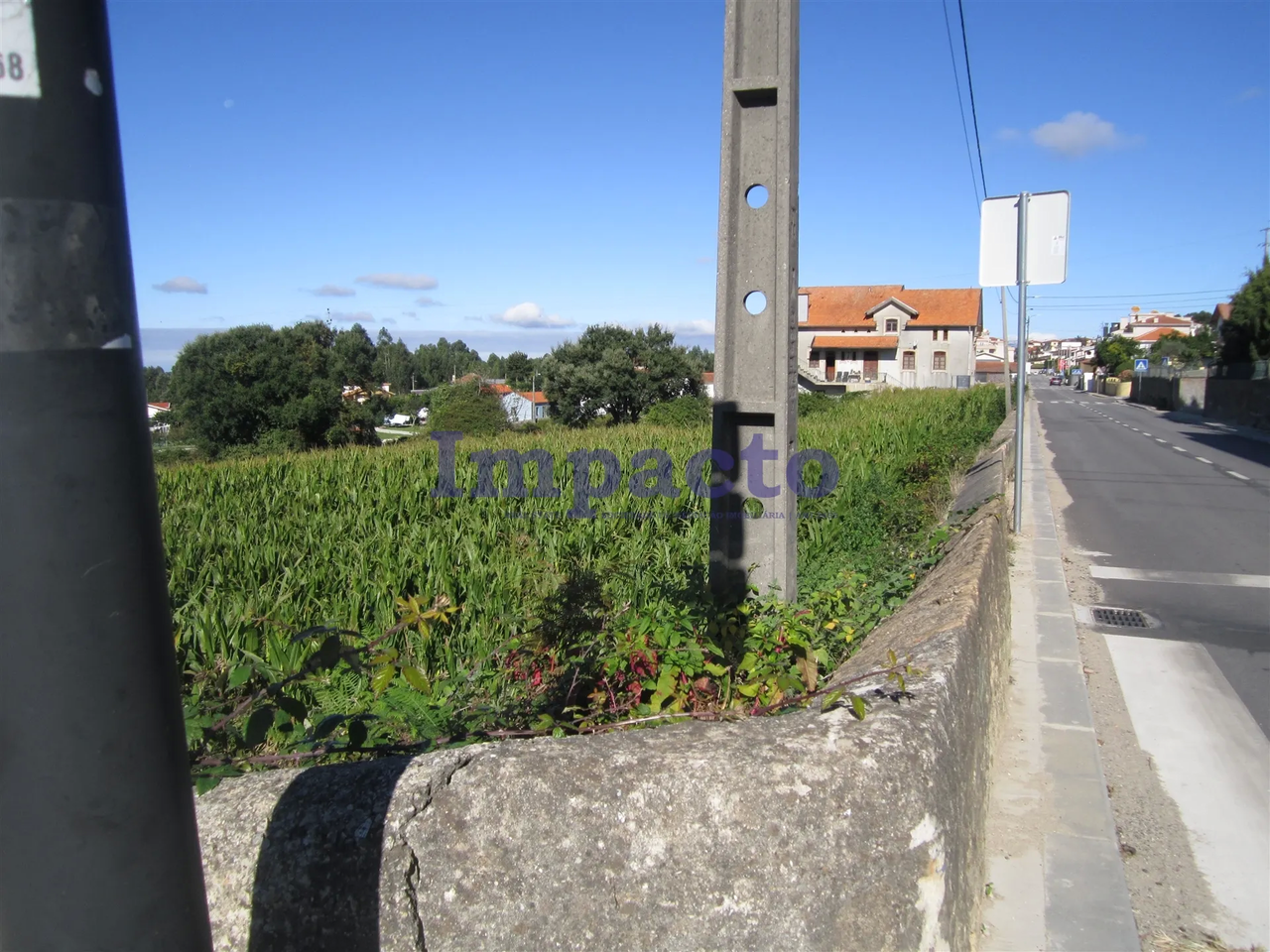 Terreno R�stico - Vila de Cucuj�es, Oliveira de Azem�is, Aveiro - Miniatura: 2/9