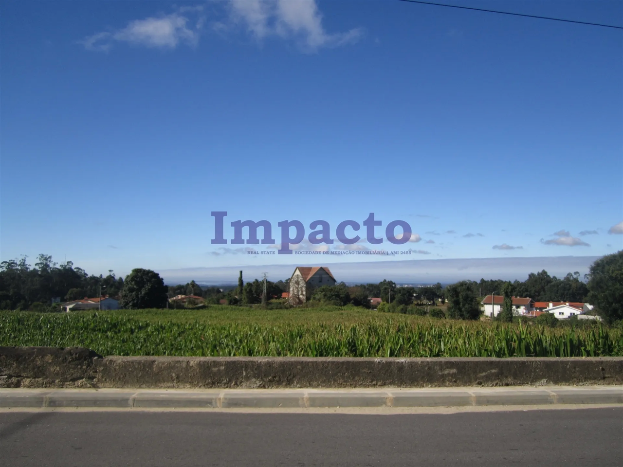 Terreno R�stico - Vila de Cucuj�es, Oliveira de Azem�is, Aveiro - Miniatura: 5/9