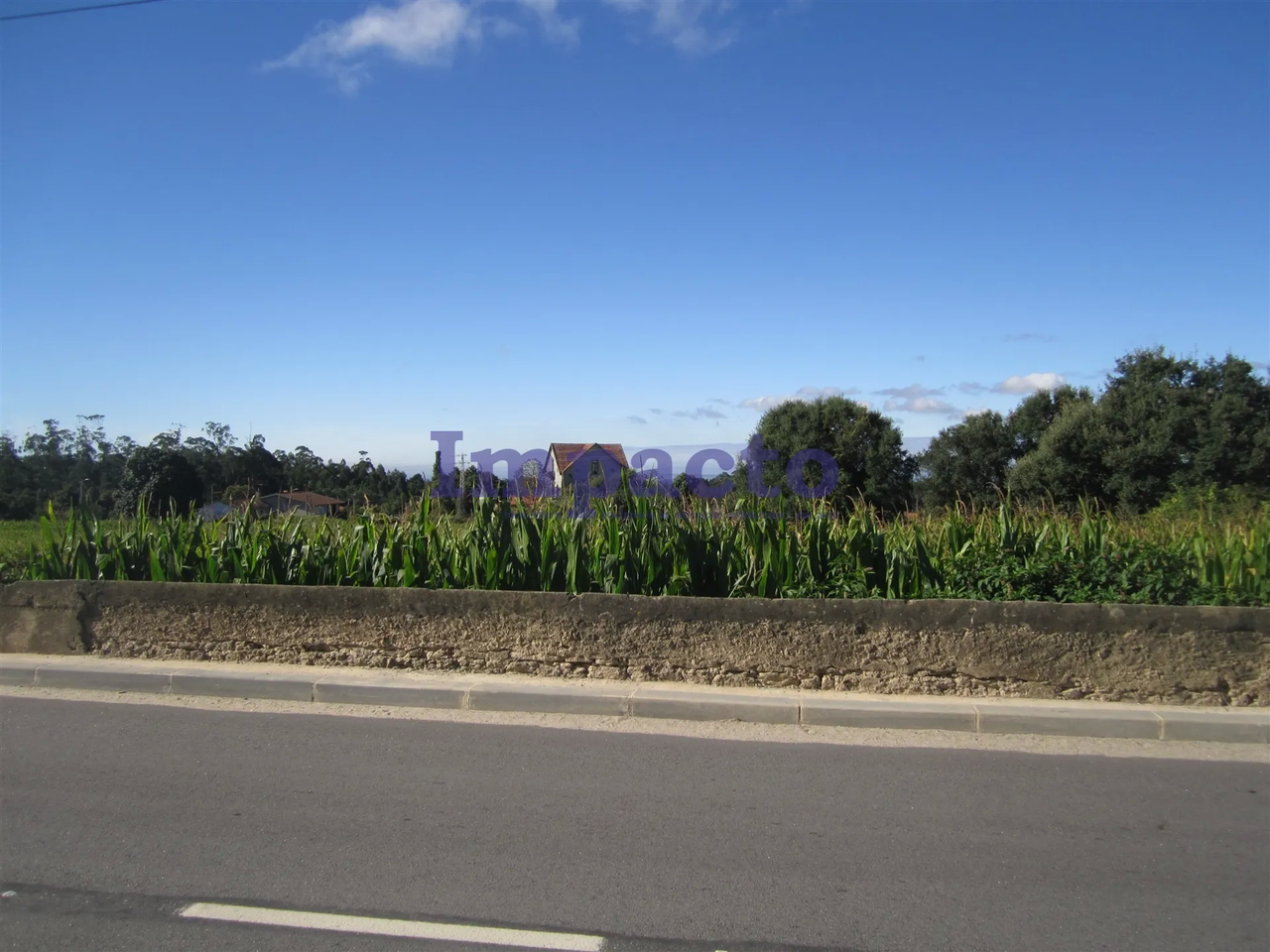 Terreno R�stico - Vila de Cucuj�es, Oliveira de Azem�is, Aveiro - Miniatura: 6/9