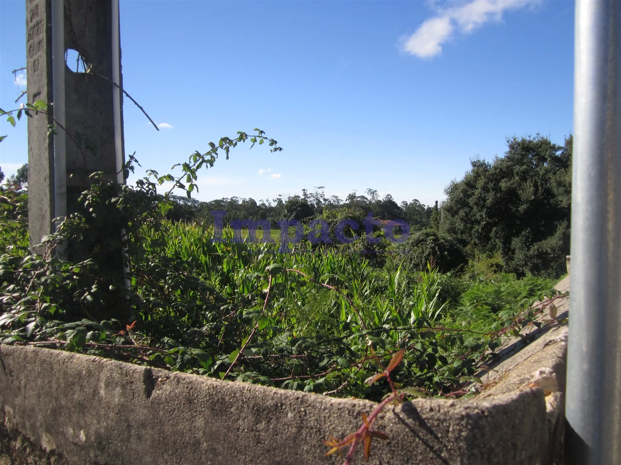 Terreno R�stico - Vila de Cucuj�es, Oliveira de Azem�is, Aveiro - Miniatura: 8/9