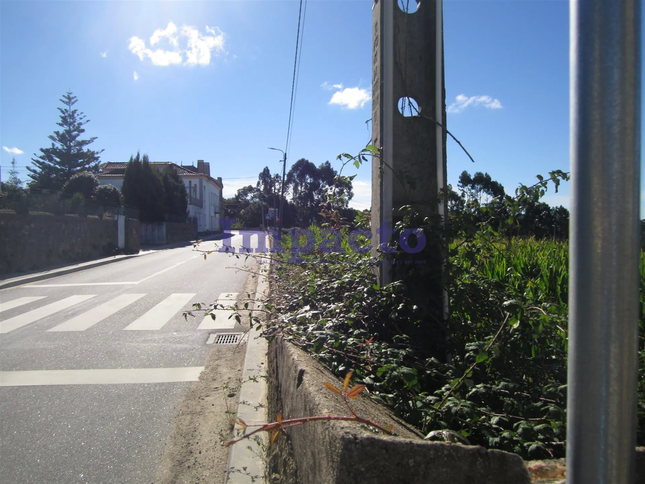Terreno R�stico - Vila de Cucuj�es, Oliveira de Azem�is, Aveiro - Miniatura: 9/9
