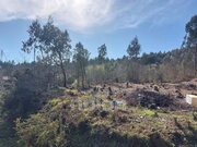 Terreno R�stico - Sanguedo, Santa Maria da Feira, Aveiro - Miniatura: 1/9