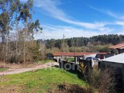 Terreno R�stico - Sanguedo, Santa Maria da Feira, Aveiro - Miniatura: 4/9