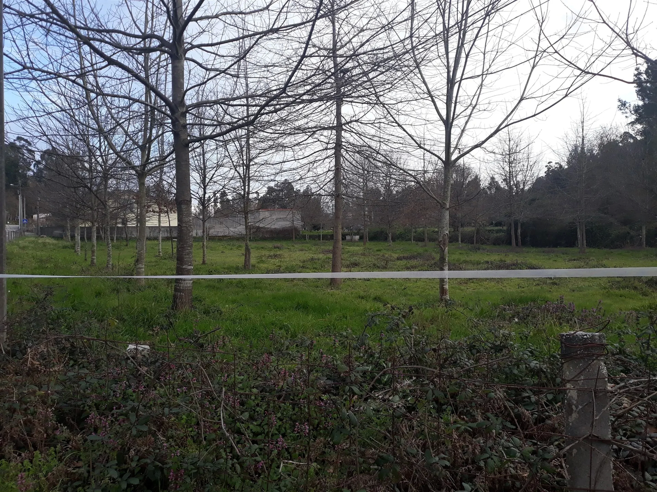 Terreno R�stico - Cesar, Oliveira de Azem�is, Aveiro - Imagem grande