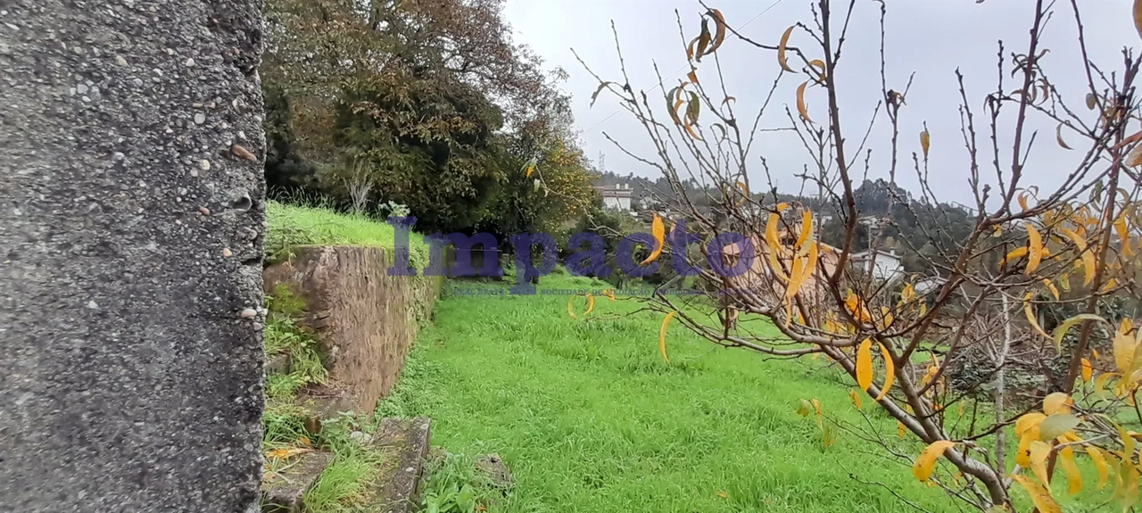 Terreno R�stico - Oliveira de Azemeis, Oliveira de Azem�is, Aveiro